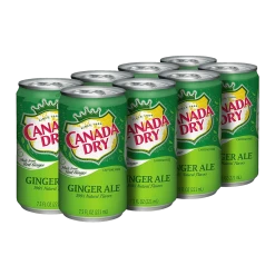 Joy's De'Lights All Candy Canada Dry 12 Pack Carton